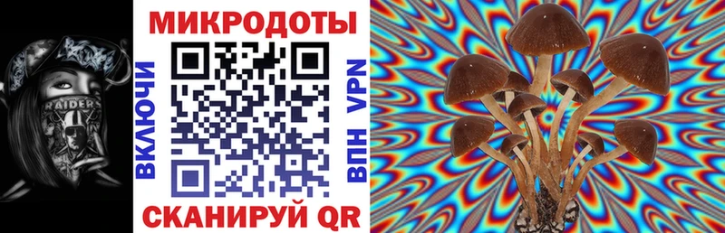 как найти   Сольвычегодск  Псилоцибиновые грибы Magic Shrooms 